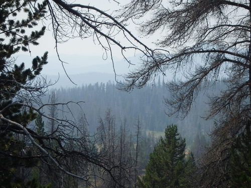 GDMBR: Blue Mountains (in Montana).